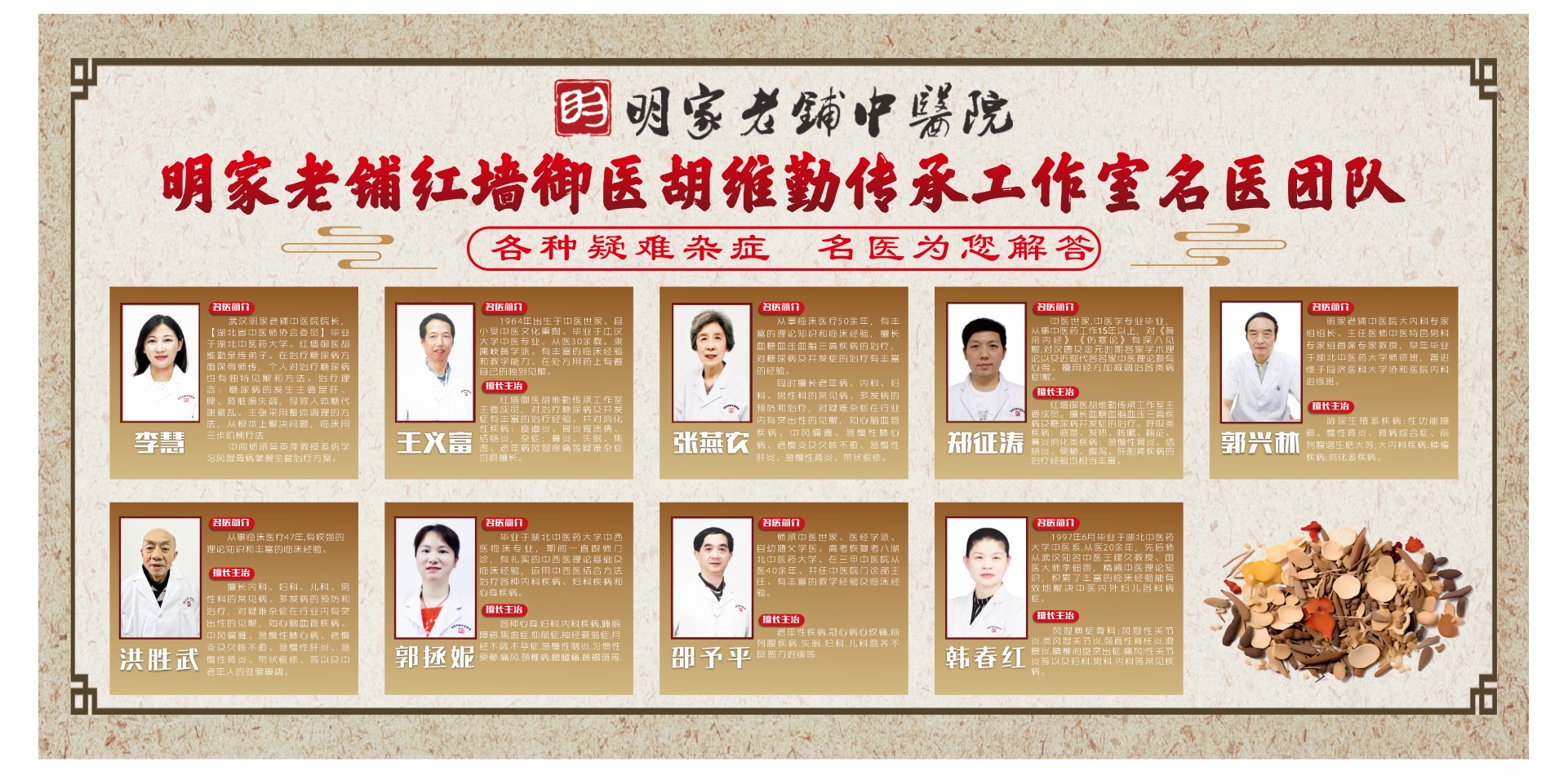 专家团队